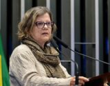 Teresa Leitão: fazer oposição ao governo é democrático; agir contra o Brasil é inaceitável