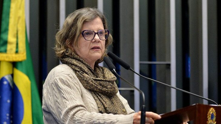 Teresa Leitão: fazer oposição ao governo é democrático; agir contra o Brasil é inaceitável