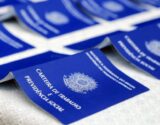 Com desemprego em queda, senadores comemoram recorde de ocupados e destacam rumos da economia