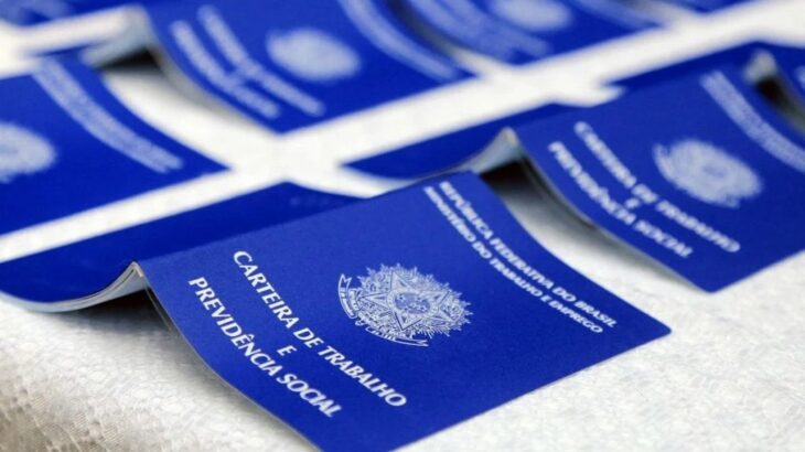 Com desemprego em queda, senadores comemoram recorde de ocupados e destacam rumos da economia